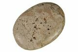 Polished Chocolate Calcite Palm Stone - Pakistan #187882-1